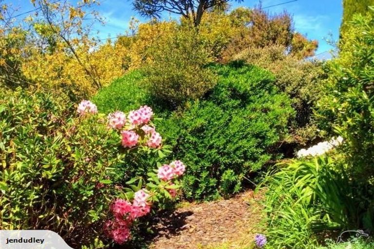 Photo of property in 38 Ure Street, South Hill, Oamaru, 9400