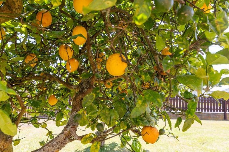 Photo of property in 40 Harris Street, Huntly, 3700