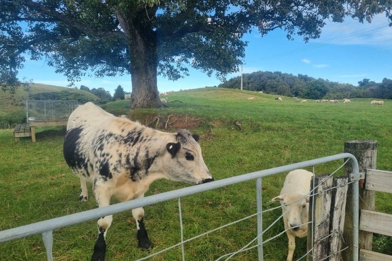 Photo of property in 1088 Mairoa Road, Mangaotaki, Piopio, 3971