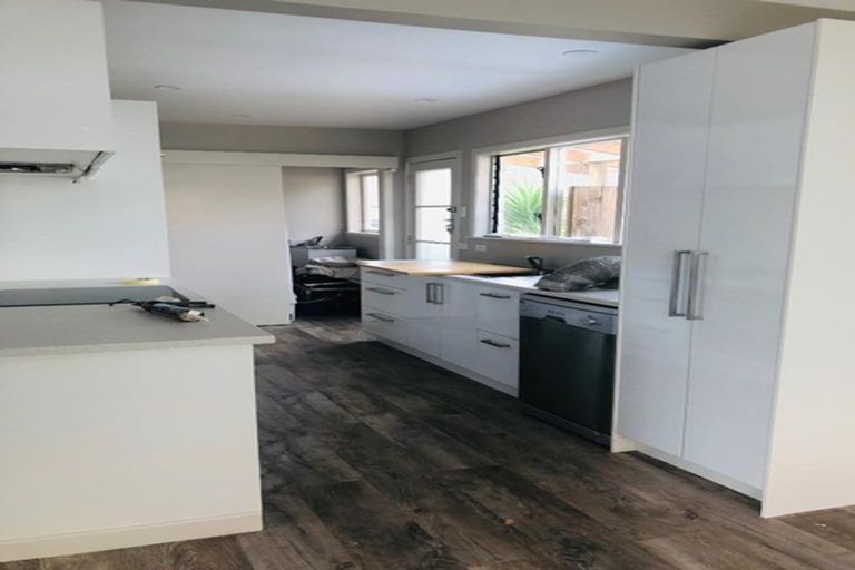 Photo of property in 259 Ulster Street, Whitiora, Hamilton, 3200