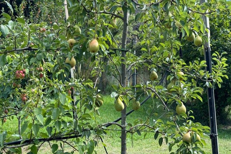 Photo of property in 72 Toi Toi Street, Toi Toi, Nelson, 7010