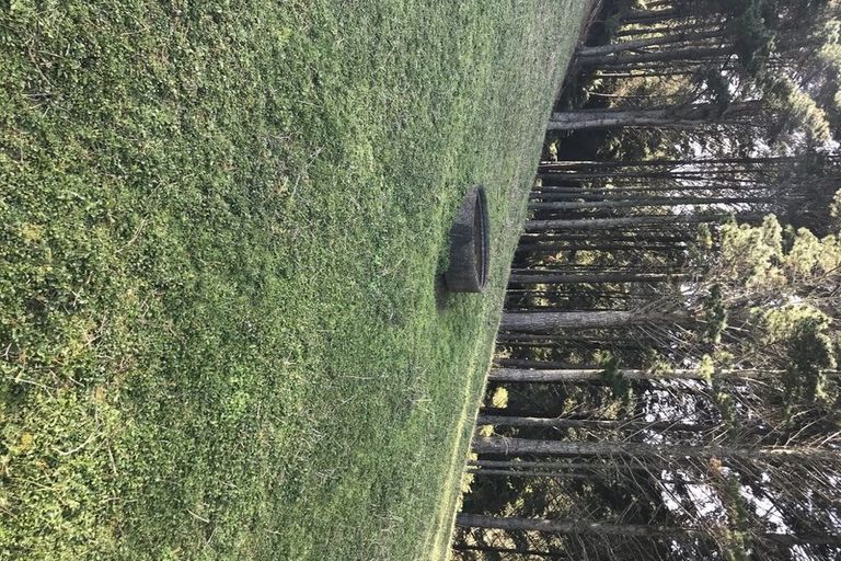 Photo of property in 75 Parakiore Road, Ngararatunua, Whangarei, 0176