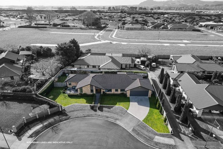 Photo of property in 16 Twin Willow Close, Cambridge, 3434