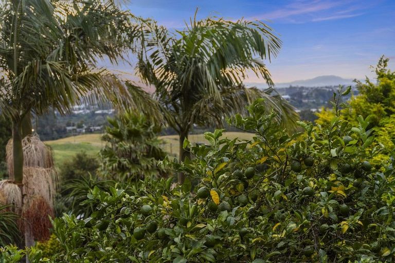 Photo of property in 33 Panorama Drive, Welcome Bay, Tauranga, 3175