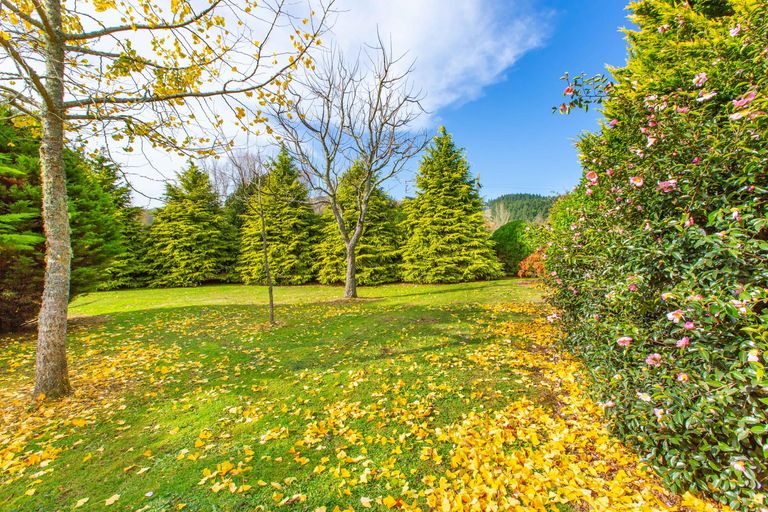 Photo of property in 189 Pond Road, Raglan, 3295