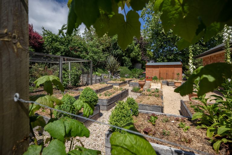 Photo of property in 6 Angelus Avenue, Richmond, 7020