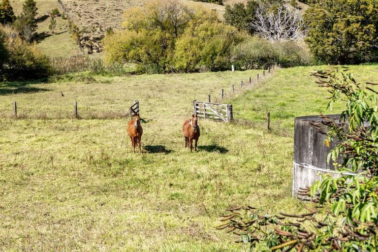 Photo of property in 108 Peria Road, Peria, Kaitaia, 0482