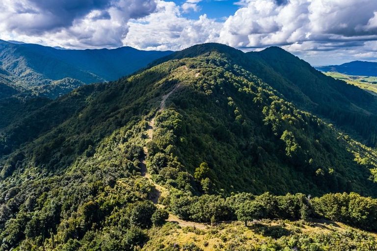 Photo of property in 814 Mikimiki Road, Mikimiki, Masterton, 5881