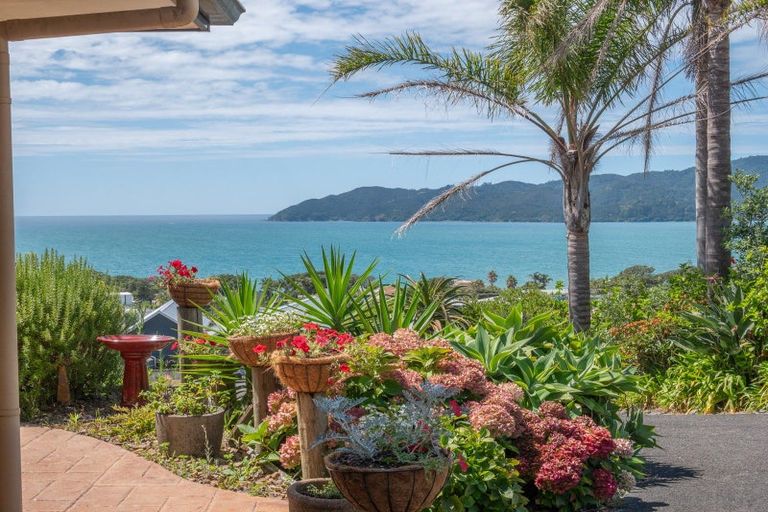 Photo of property in 11 Oden Hill, Coopers Beach, 0420