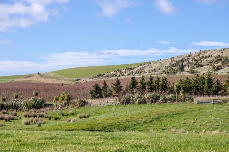 Photo of property in 962 Lake Ferry Road, Dyerville, Martinborough, 5781