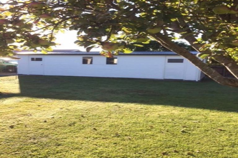 Photo of property in 12 Vogel Street, Levin, 5510