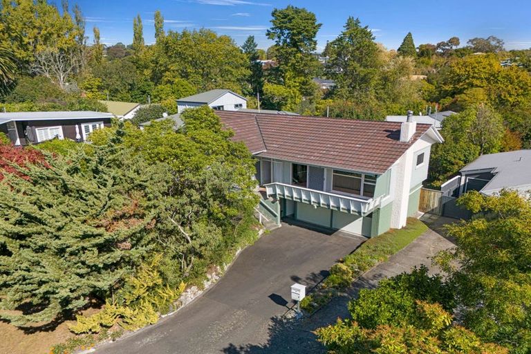 Photo of property in 19 Franklin Terrace, Havelock North, 4130