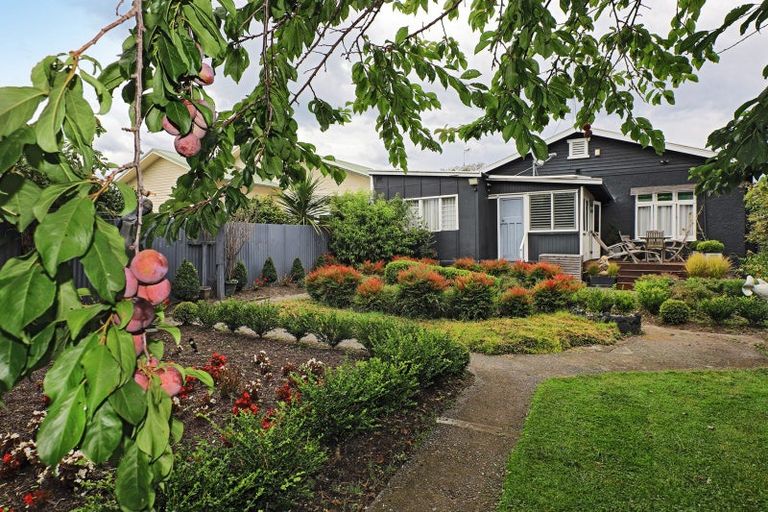 Photo of property in 47 Vigor Brown Street, Napier South, Napier, 4110