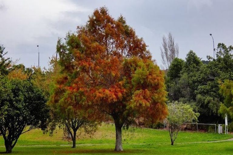 Photo of property in 1 Edwin Street, Belmont, Lower Hutt, 5010