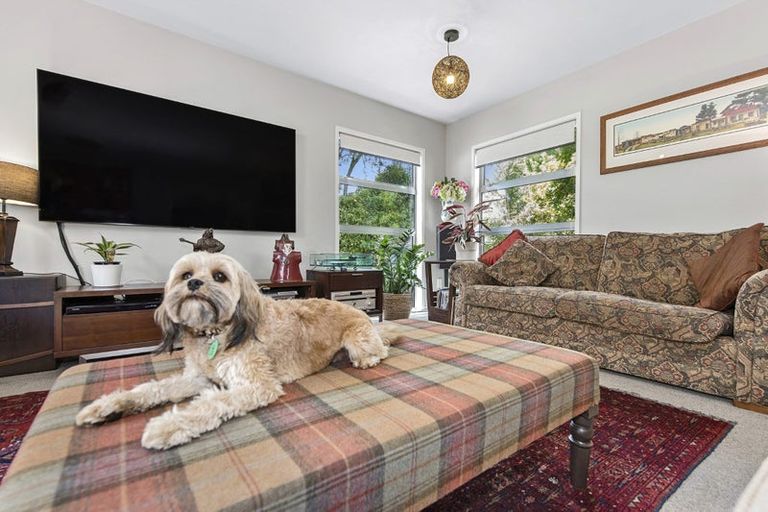 Photo of property in 9a Elizabeth Street, Beerescourt, Hamilton, 3200