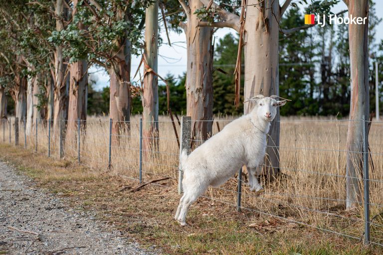 Photo of property in 6189 Middlemarch-sutton Road, Middlemarch, 9597