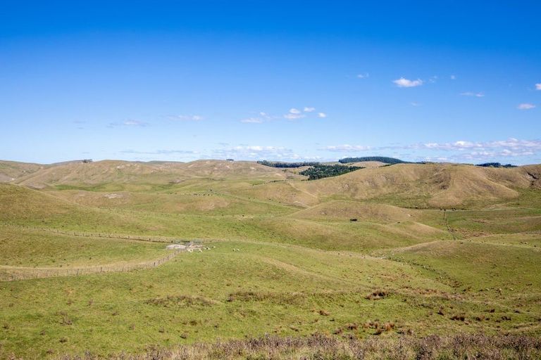 Photo of property in 300 Pattison Road, Akina, Hastings, 4122