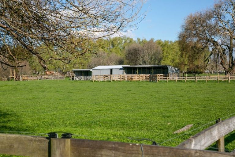 Photo of property in 369 Hautapu Road, Tamahere, Hamilton, 3283