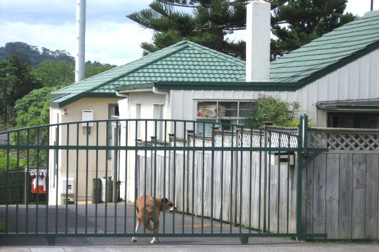 Photo of property in 60 Alberta Street, Point Chevalier, Auckland, 1022