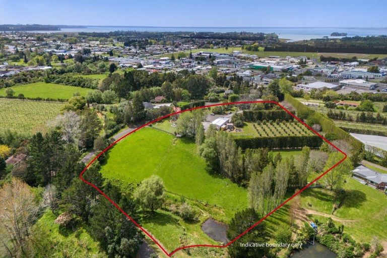 Photo of property in 19 Henry Road, Katikati, 3129