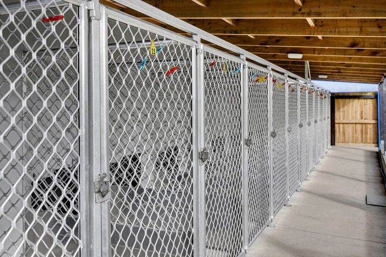 Photo of property in 242 Tawhiti Road, Hawera, 4672