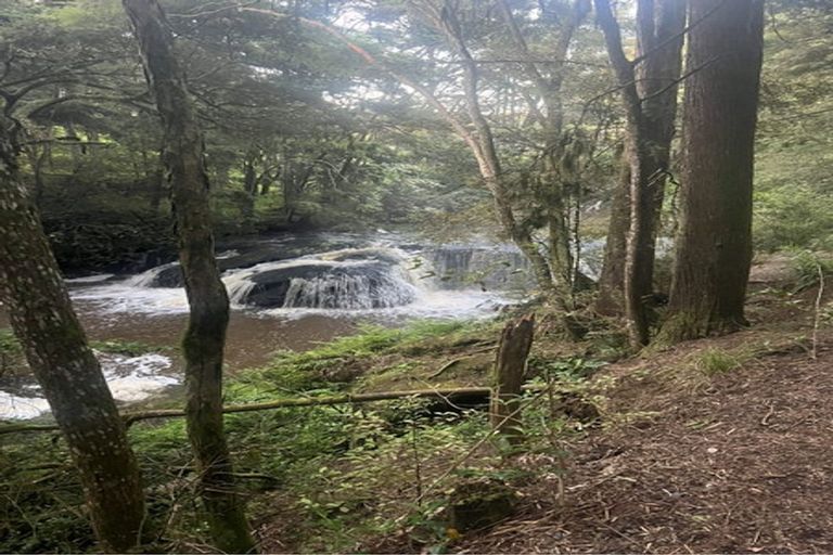 Photo of property in 29 Anzac Avenue, Morrinsville, 3300