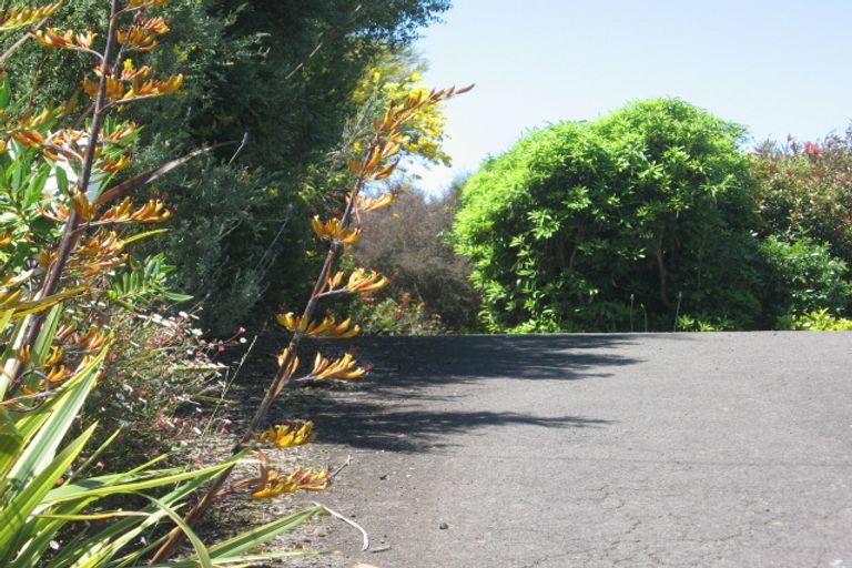 Photo of property in 384 Snodgrass Road, Te Puna, Tauranga, 3174