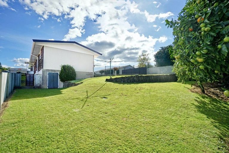 Photo of property in 58 Boucher Avenue, Te Puke, 3119