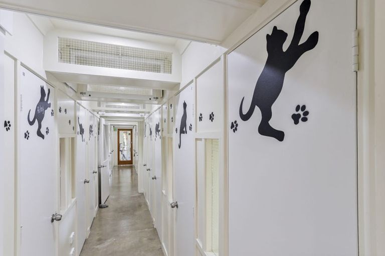 Photo of property in 52 Church Street, Oxford, 7430