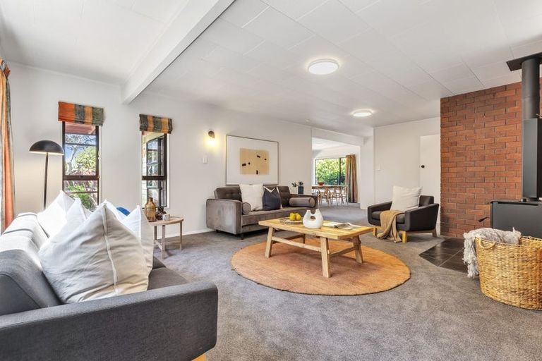 Photo of property in 6 Milne Place, Richmond, 7020