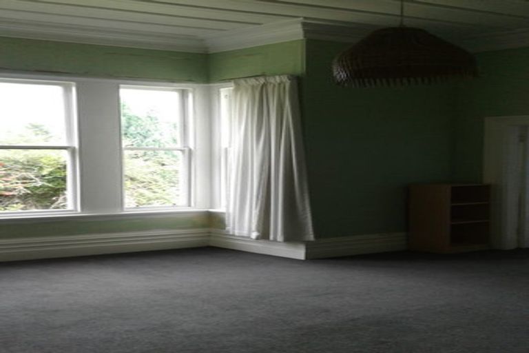 Photo of property in 87 Signal Hill Road, Opoho, Dunedin, 9010