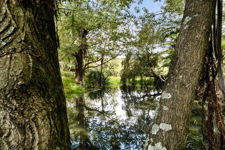 Photo of property in 371 Esdaile Road, Whakamarama, Tauranga, 3180