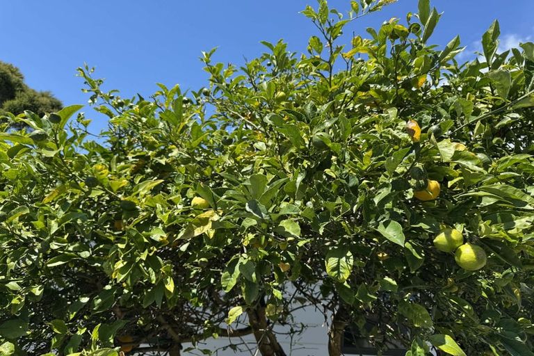 Photo of property in 19 Chums Road, Paraparaumu Beach, Paraparaumu, 5032