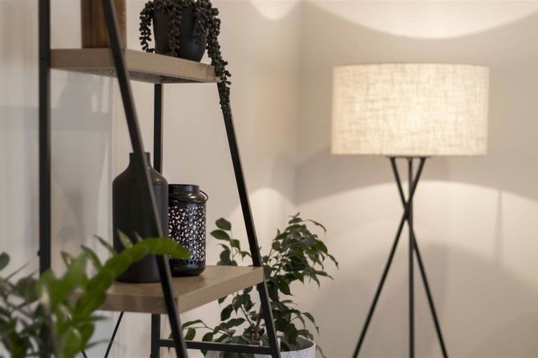 Photo of property in 5 Voight Avenue, Chartwell, Hamilton, 3210