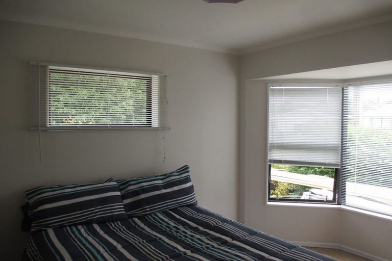 Photo of property in 17 Douglas Street, Levin, 5510