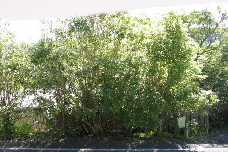 Photo of property in 14 Hospital Road, Kawakawa, 0210