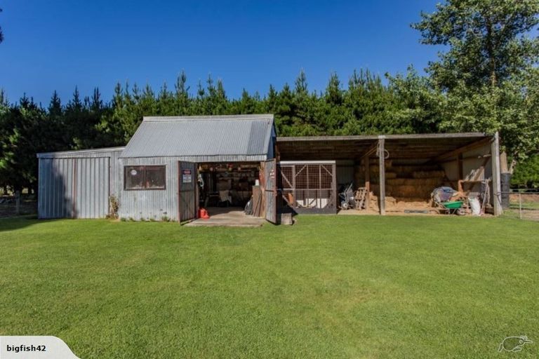 Photo of property in 51 Victoria Street, Oxford, 7430