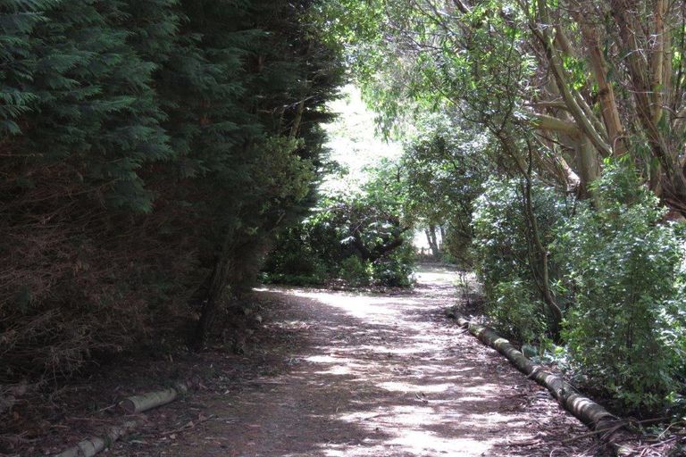 Photo of property in 208 Coggins Road, New River Ferry, Invercargill, 9879