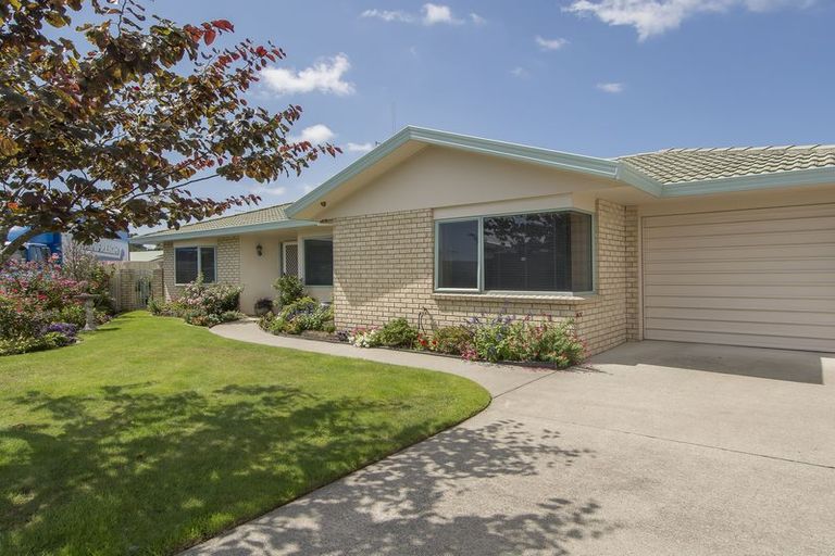 Photo of property in 37 Aaron Place, Brookfield, Tauranga, 3110