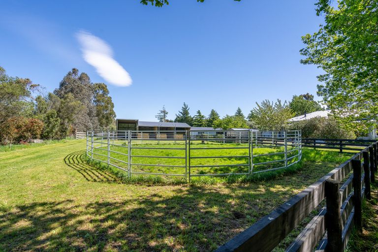 Photo of property in 439 Norfolk Road, Waingawa, Carterton, 5791