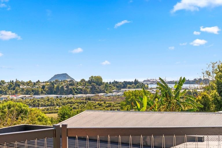 Photo of property in 37 Murray Street, Gate Pa, Tauranga, 3112