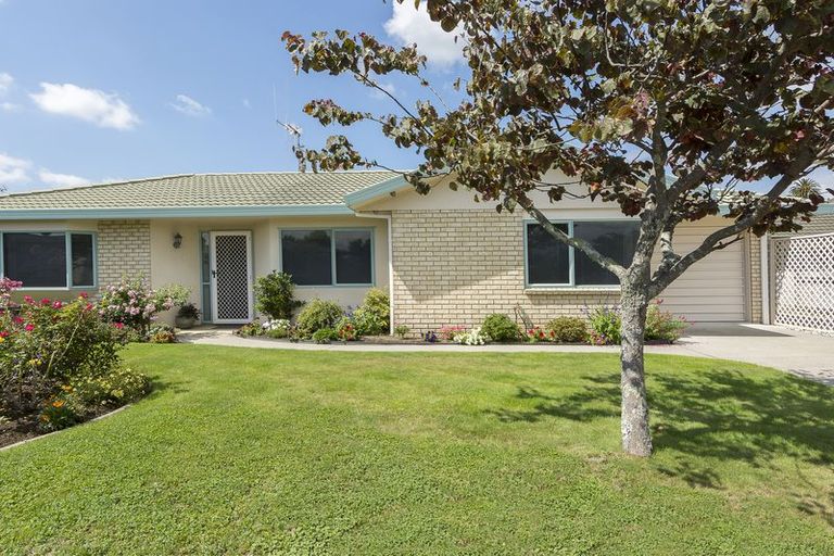 Photo of property in 37 Aaron Place, Brookfield, Tauranga, 3110