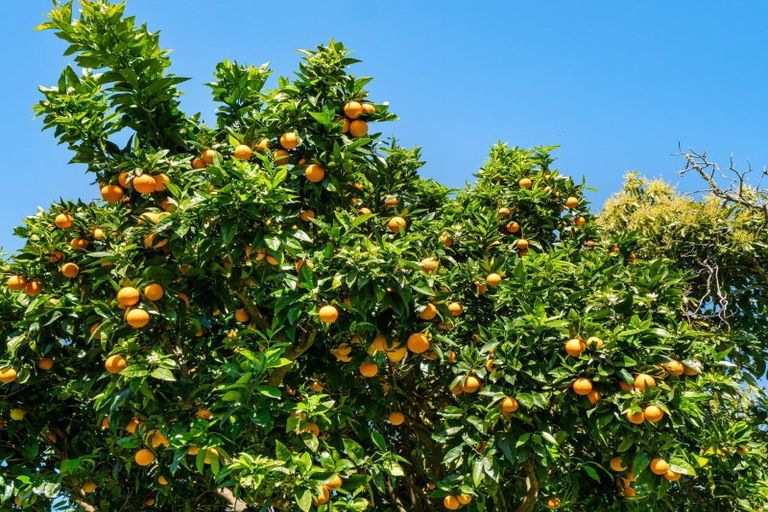 Photo of property in 154b Munro Road, Minden, Tauranga, 3179