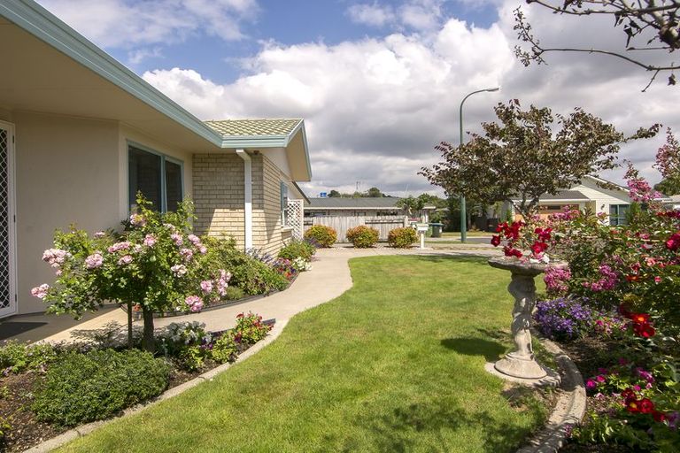 Photo of property in 37 Aaron Place, Brookfield, Tauranga, 3110
