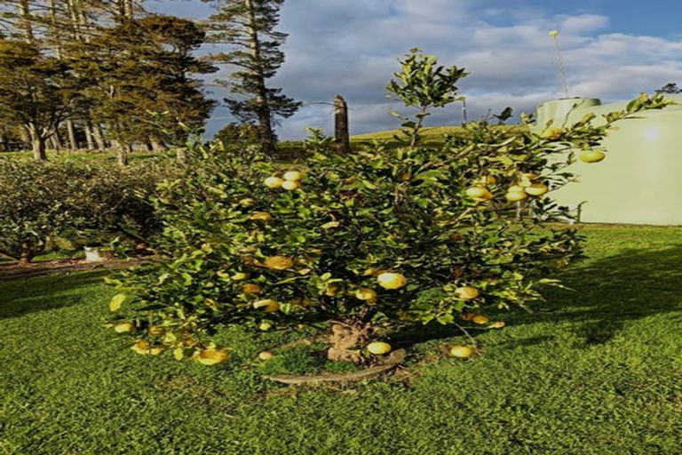 Photo of property in 605 Otaika Valley Road, Maungatapere, Whangarei, 0170