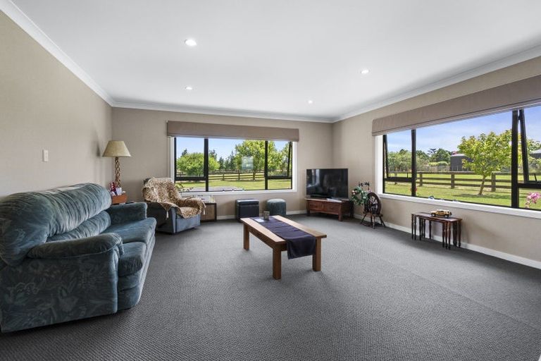 Photo of property in 580 Taonui Road, Colyton, Feilding, 4775