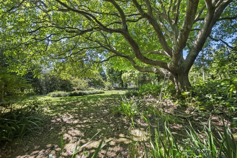 Photo of property in 2330 Kimbolton Road, Kiwitea, Feilding, 4777
