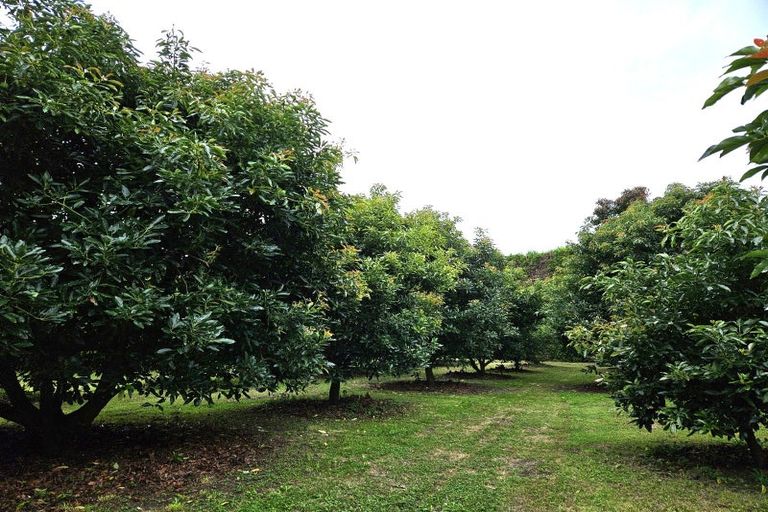 Photo of property in 400 Te Matai Road, Te Puke, 3188