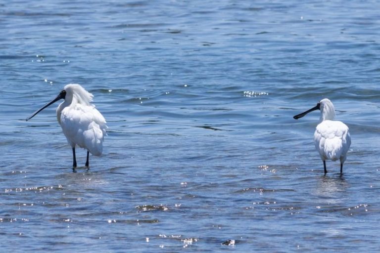 Photo of property in 291a Waikawa Road, Waikawa, Picton, 7220