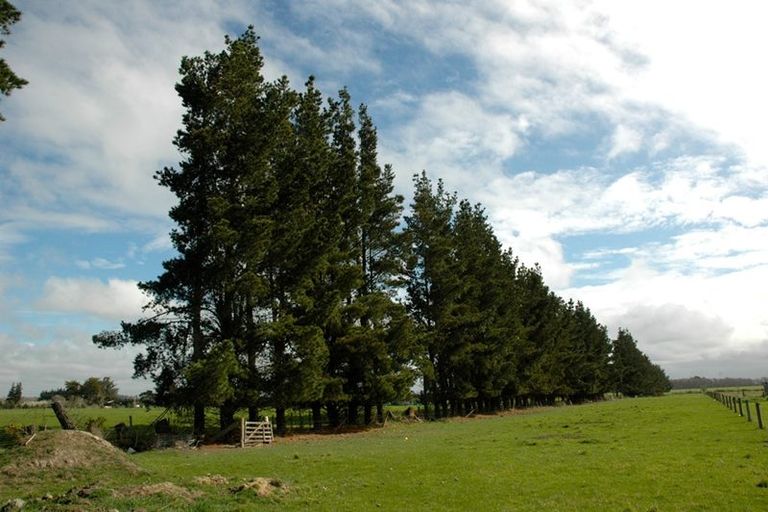 Photo of property in 131 Swamp Road, Loburn, 7472